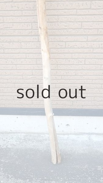 画像2: 棒流木・長尺 (2)