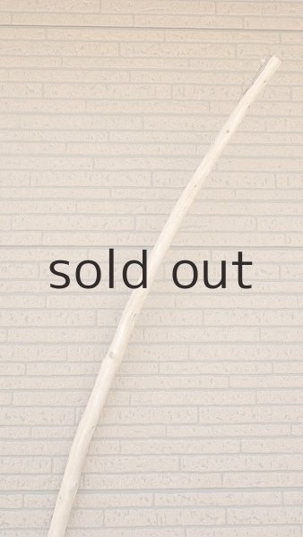 画像4: 棒流木・長尺 (4)