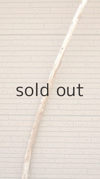 画像4: 棒流木・長尺 (4)