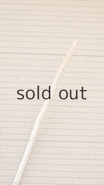 画像4: 棒流木・長尺 (4)