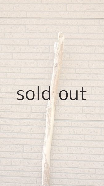 画像4: 棒流木・長尺 (4)