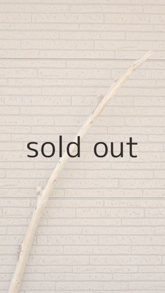 画像4: 棒流木・長尺 (4)