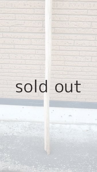 画像2: 棒流木・長尺 (2)