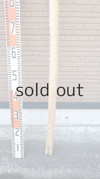 画像6: 棒流木・長尺 (6)