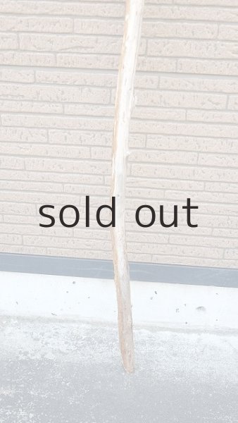 画像2: 棒流木・長尺 (2)