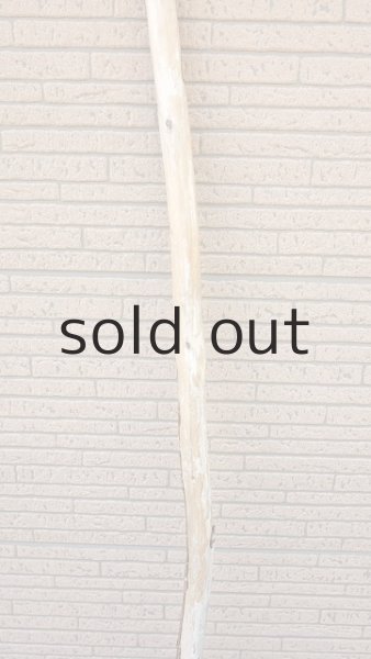 画像3: 棒流木・長尺 (3)