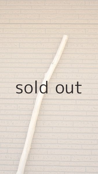 画像5: 棒流木・長尺 (5)