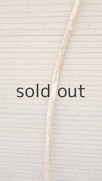 画像3: 棒流木・長尺 (3)