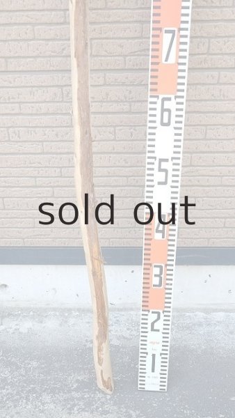 画像6: 棒流木・長尺 (6)