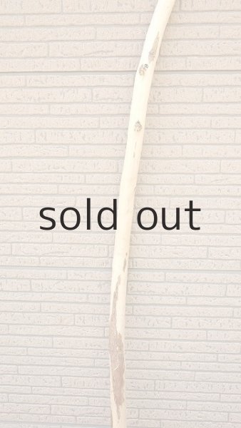 画像3: 棒流木・長尺 (3)