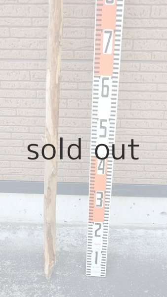 画像5: 棒流木・長尺 (5)