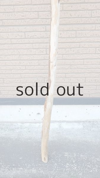 画像2: 棒流木・長尺 (2)