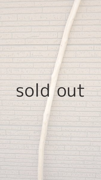 画像3: 棒流木・長尺 (3)