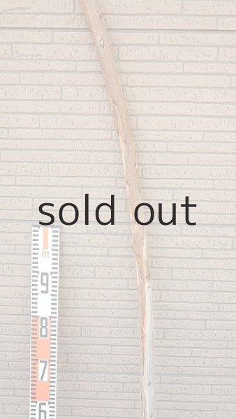 画像7: 棒流木・長尺 (7)