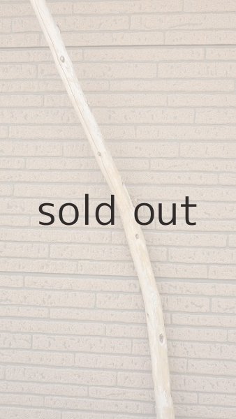 画像4: 棒流木・長尺 (4)