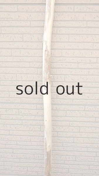 画像3: 棒流木・長尺 (3)