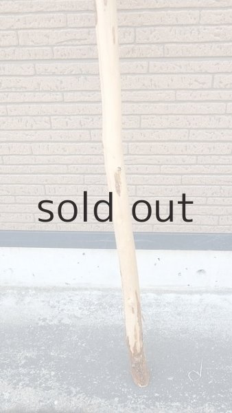 画像2: 棒流木・長尺 (2)