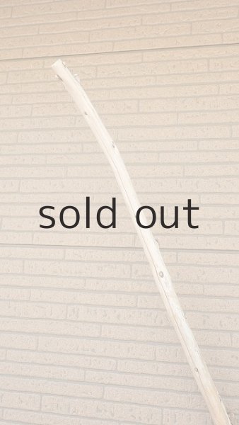 画像5: 棒流木・長尺 (5)