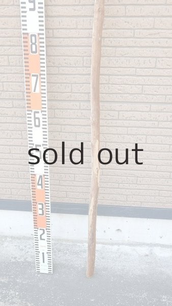 画像5: 棒流木・長尺 (5)