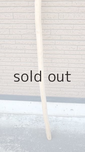 画像2: 棒流木・長尺 (2)