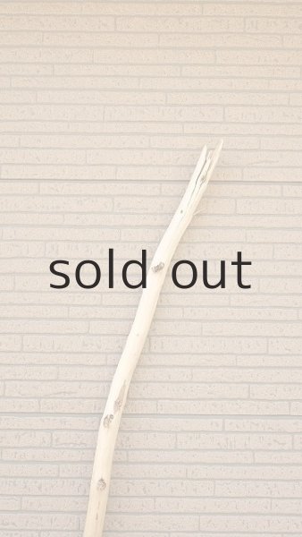 画像4: 棒流木・長尺 (4)