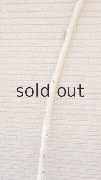 画像3: 棒流木・長尺 (3)