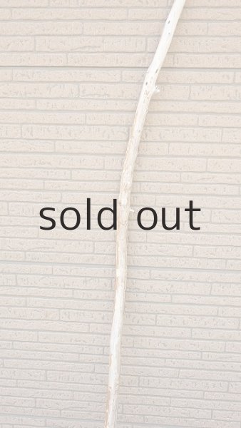 画像3: 棒流木・長尺 (3)