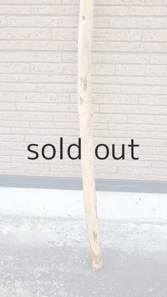 画像2: 棒流木 (2)