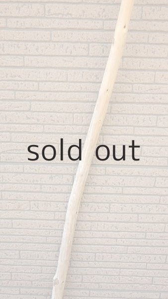 画像3: 棒流木 (3)