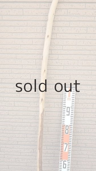 画像7: 棒流木・長尺 (7)