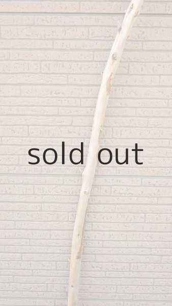 画像3: 棒流木 (3)