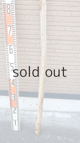 画像5: 棒流木 (5)