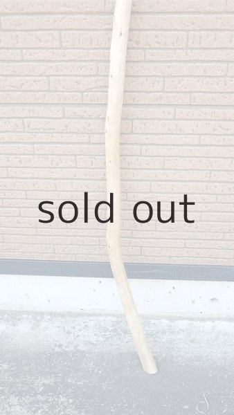 画像2: 棒流木・長尺 (2)