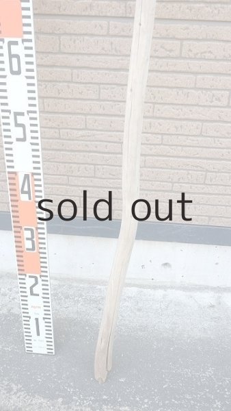 画像5: 棒流木・長尺 (5)