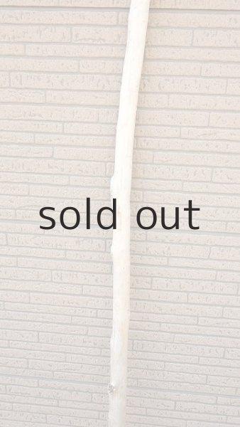 画像3: 棒流木・長尺 (3)