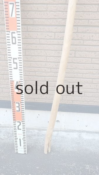 画像5: 棒流木・長尺 (5)