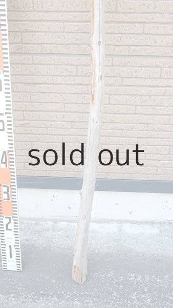 画像6: 棒流木・長尺 (6)