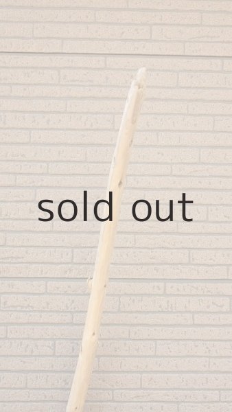 画像4: 棒流木 (4)