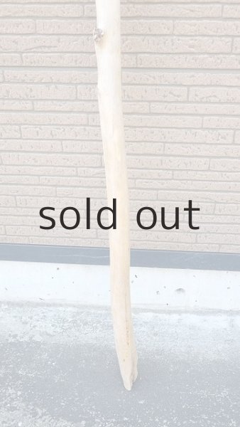 画像2: 棒流木・長尺 (2)