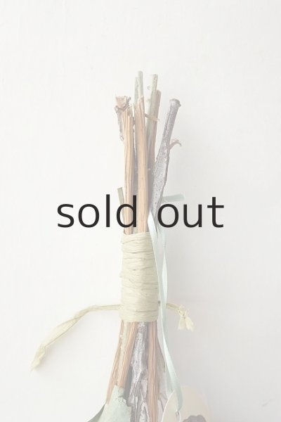 画像2: Dry plants for decor テトラゴナミックススワッグ (2)