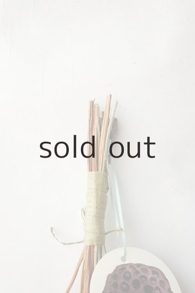 画像2: Dry plants for decor テトラゴナミックススワッグ (2)