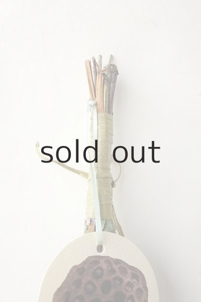 画像2: Dry plants for decor テトラゴナミックススワッグ (2)