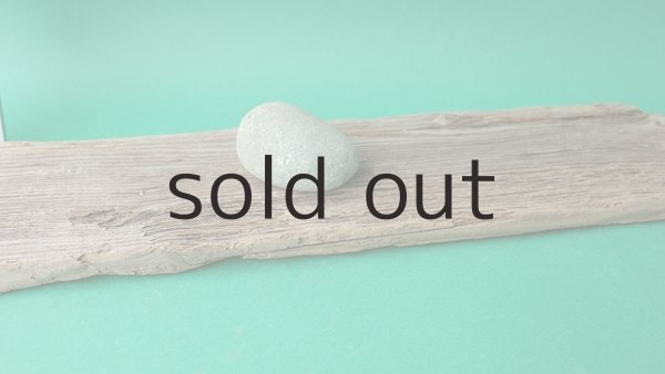 画像4: 板流木 (4)