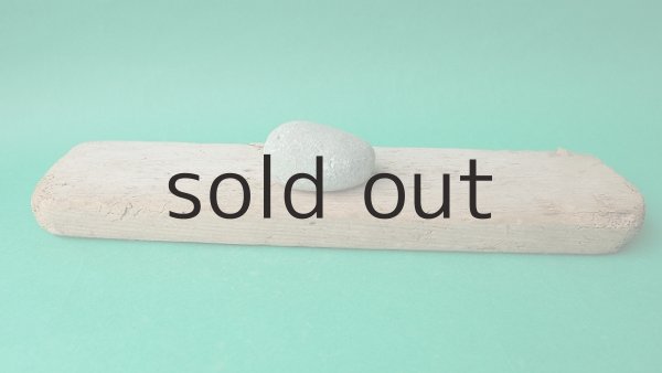 画像4: 板流木 (4)