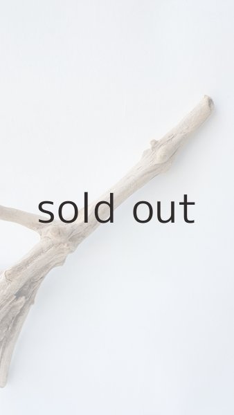 画像4: 流木根 (4)