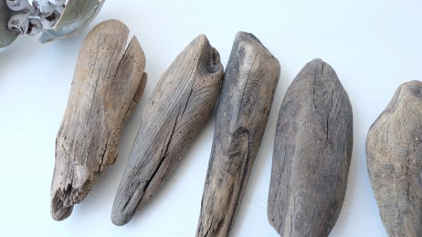 画像2: 変形流木セット (2)