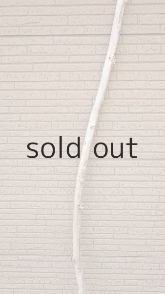 画像3: 棒流木・長尺 (3)