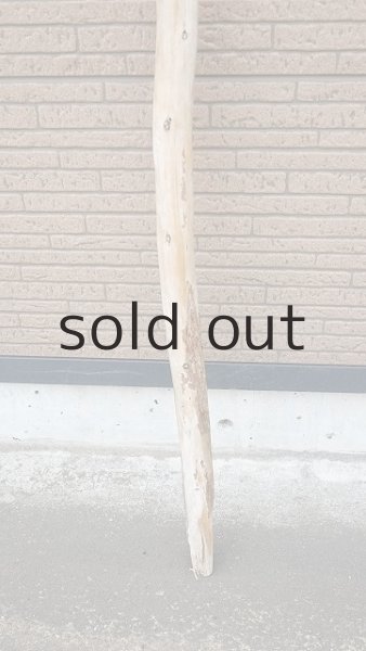 画像2: 棒流木・長尺 (2)