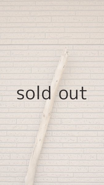 画像4: 棒流木・長尺 (4)