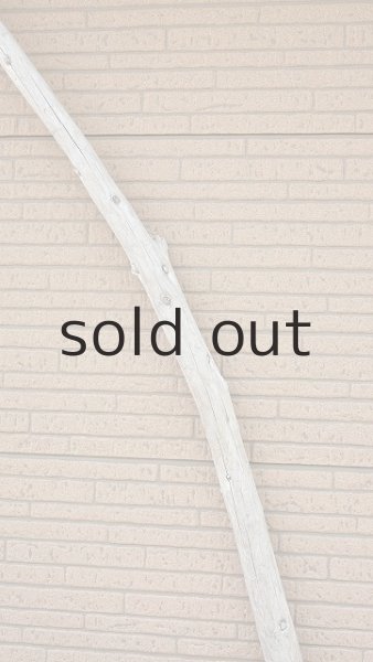 画像4: 棒流木・長尺 (4)